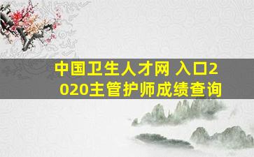 中国卫生人才网 入口2020主管护师成绩查询